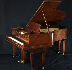 Steinway & Sons Information Duo Art