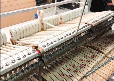 Steinway Action restoration regulation