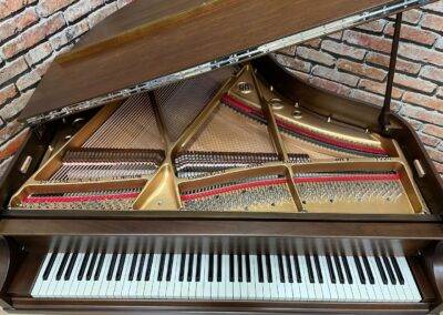 Interior View, Wheelock, Petite Grand Piano