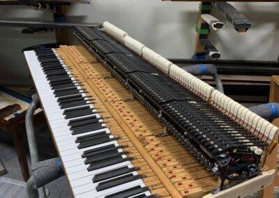 WNG Upper Action Replacement for an antique Steinway