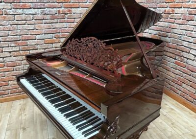 High Gloss Stienway Grand Piano